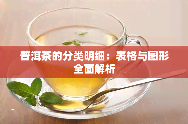 普洱茶的分类明细：表格与图形全面解析