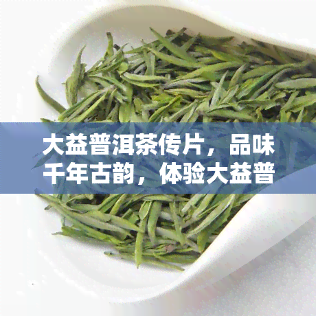 大益普洱茶传片，品味千年古韵，体验大益普洱茶的独特魅力——大益普洱茶传片