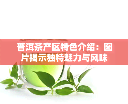 普洱茶产区特色介绍：图片揭示独特魅力与风味