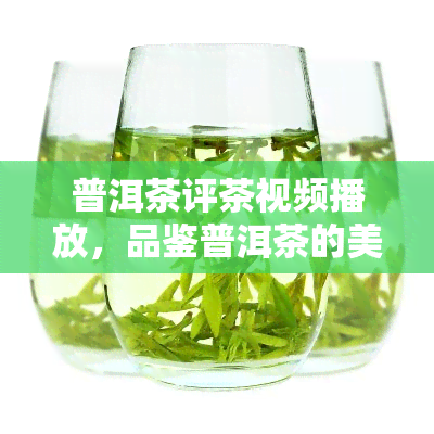 普洱茶评茶视频播放，品鉴普洱茶的美妙之旅：观看专业评茶视频