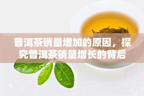 普洱茶销量增加的原因，探究普洱茶销量增长的背后原因