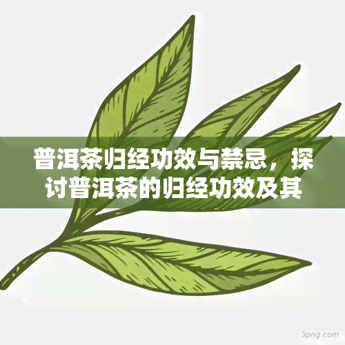 普洱茶归经功效与禁忌，探讨普洱茶的归经功效及其饮用禁忌