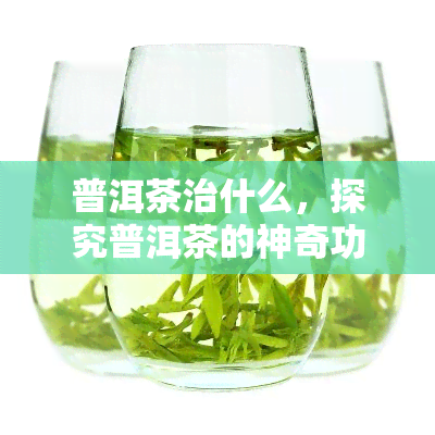 普洱茶治什么，探究普洱茶的神奇功效：它能治疗哪些疾病？