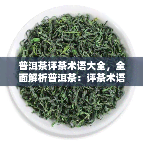 普洱茶评茶术语大全，全面解析普洱茶：评茶术语大全