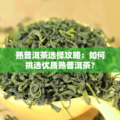 熟普洱茶选择攻略：如何挑选优质熟普洱茶？