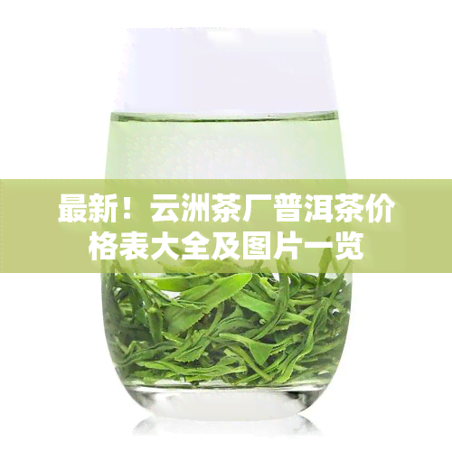 最新！云洲茶厂普洱茶价格表大全及图片一览