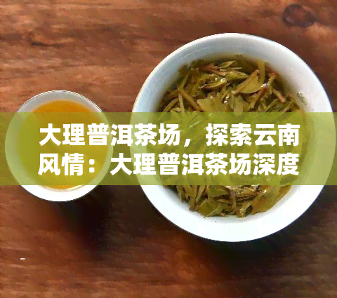 大理普洱茶场，探索云南风情：大理普洱茶场深度游