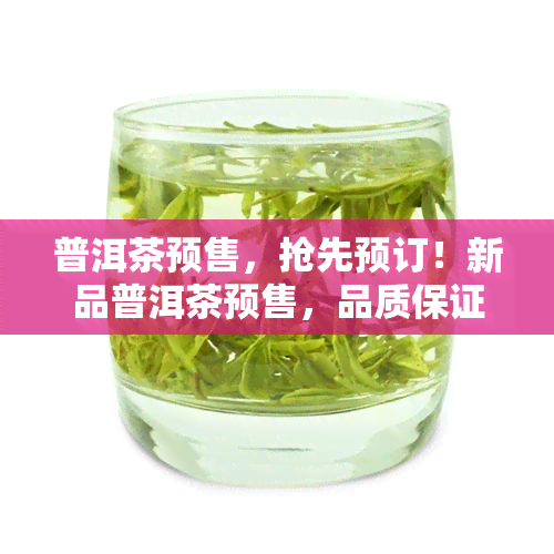 普洱茶预售，抢先预订！新品普洱茶预售，品质保证，不容错过！