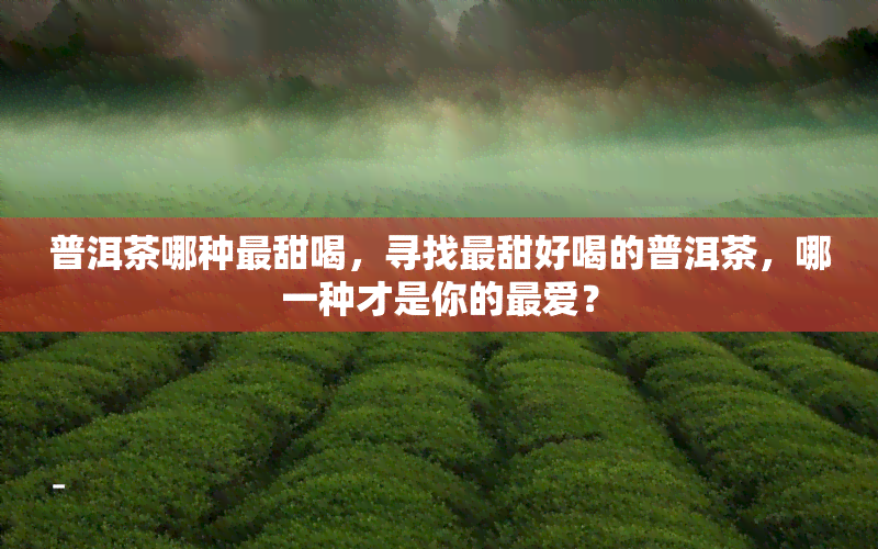 普洱茶哪种最甜喝，寻找最甜好喝的普洱茶，哪一种才是你的更爱？