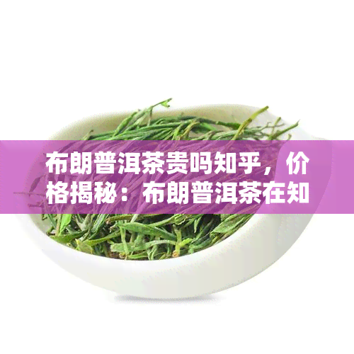 布朗普洱茶贵吗知乎，价格揭秘：布朗普洱茶在知乎上的评价及价值分析