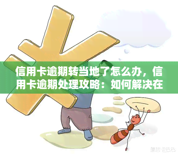 信用卡逾期转当地了怎么办，信用卡逾期处理攻略：如何解决在当地的欠款问题？