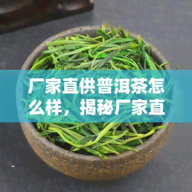 厂家直供普洱茶怎么样，揭秘厂家直供的普洱茶：如何鉴别真伪与品质？