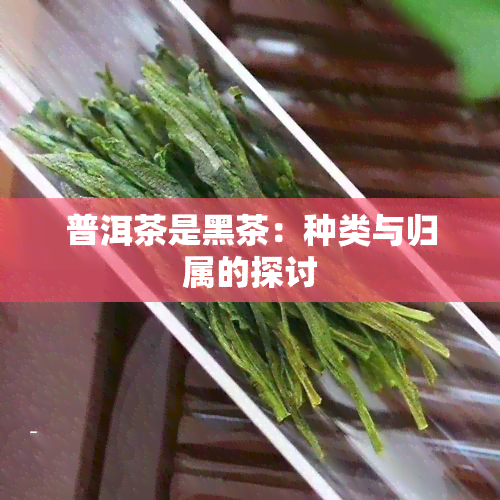 普洱茶是黑茶：种类与归属的探讨