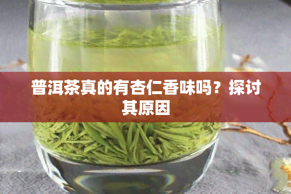 普洱茶真的有杏仁香味吗？探讨其原因