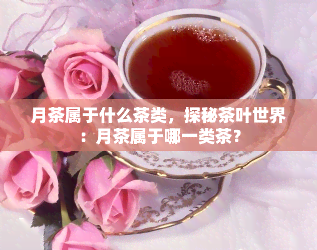 月茶属于什么茶类，探秘茶叶世界：月茶属于哪一类茶？