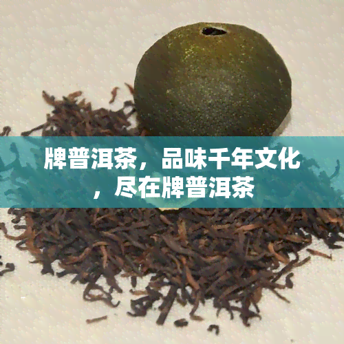 牌普洱茶，品味千年文化，尽在牌普洱茶