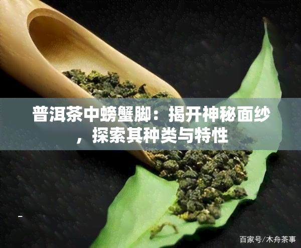 普洱茶中螃蟹脚：揭开神秘面纱，探索其种类与特性