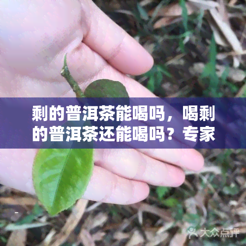 剩的普洱茶能喝吗，喝剩的普洱茶还能喝吗？专家为你解答