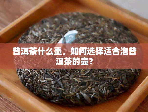 普洱茶什么壶，如何选择适合泡普洱茶的壶？