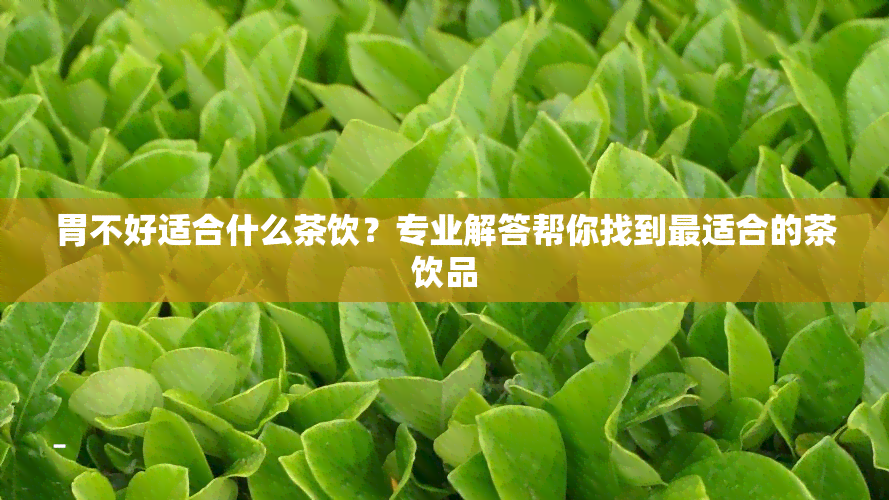 胃不好适合什么茶饮？专业解答帮你找到最适合的茶饮品