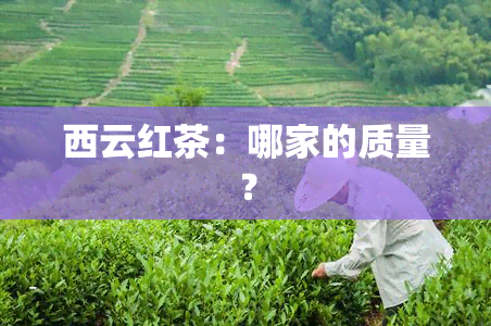 西云红茶：哪家的质量？