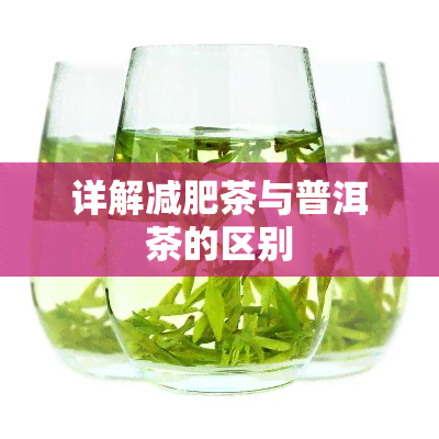 详解减肥茶与普洱茶的区别