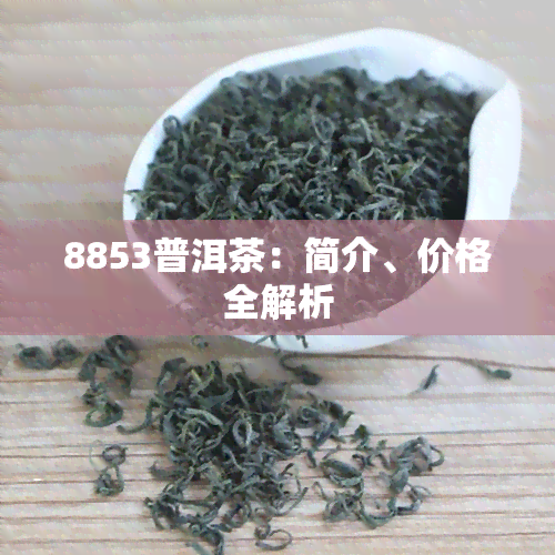 8853普洱茶：简介、价格全解析