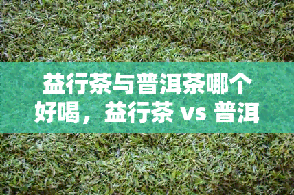 益行茶与普洱茶哪个好喝，益行茶 vs 普洱茶：口感大比拼，哪一款更胜一筹？