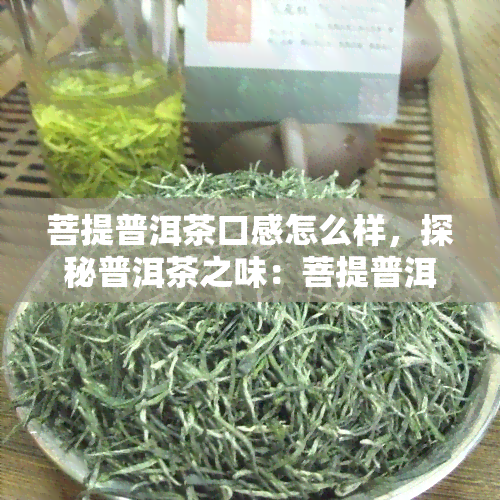 菩提普洱茶口感怎么样，探秘普洱茶之味：菩提普洱茶的口感如何？