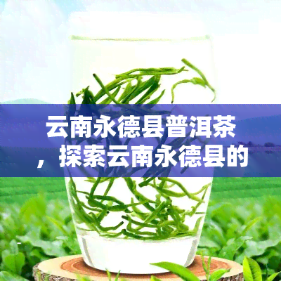 云南永德县普洱茶，探索云南永德县的普洱茶文化：品味历与自然的独特结合