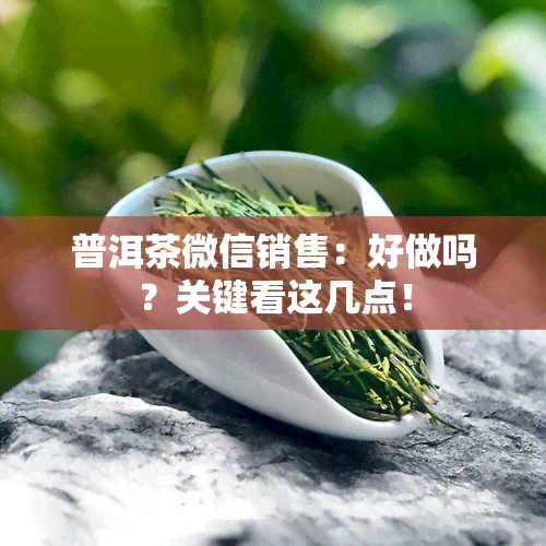 普洱茶微信销售：好做吗？关键看这几点！