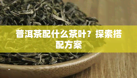 普洱茶配什么茶叶？探索搭配方案