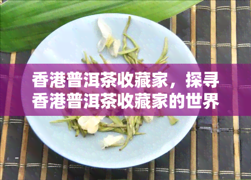 普洱茶收藏家，探寻普洱茶收藏家的世界：珍稀茗品与独特文化