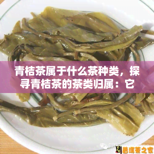 青桔茶属于什么茶种类，探寻青桔茶的茶类归属：它属于哪一种？