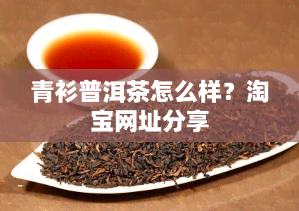 青衫普洱茶怎么样？淘宝网址分享