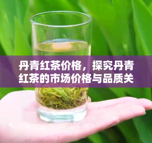 丹青红茶价格，探究丹青红茶的市场价格与品质关系