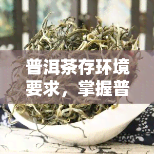 普洱茶存环境要求，掌握普洱茶存环境要求，让你的茶叶更加美味持久！