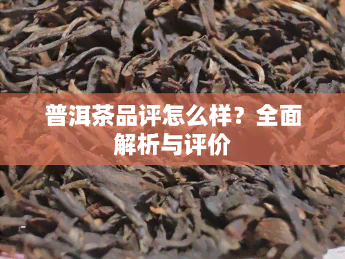 普洱茶品评怎么样？全面解析与评价