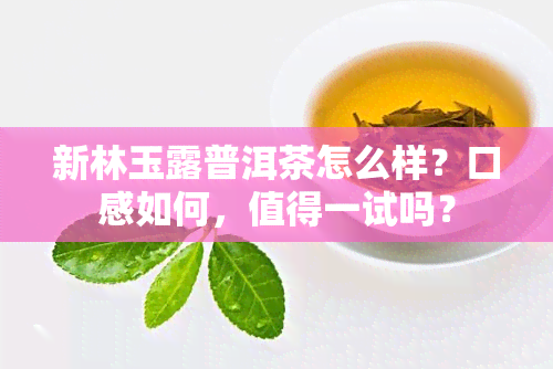 新林玉露普洱茶怎么样？口感如何，值得一试吗？