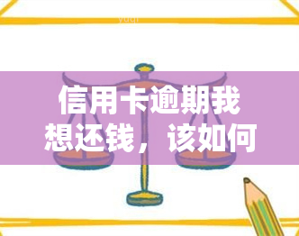 信用卡逾期我想还钱，该如何还款？