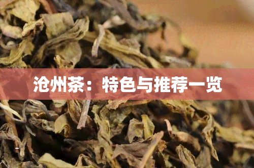 沧州茶：特色与推荐一览