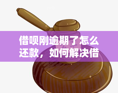 借呗刚逾期了怎么还款，如何解决借呗逾期问题：一份详细的还款指南