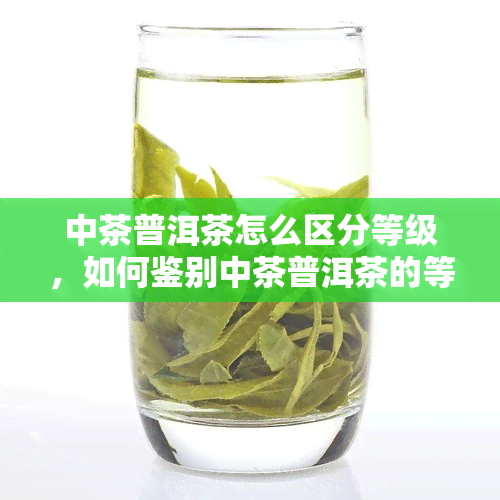 中茶普洱茶怎么区分等级，如何鉴别中茶普洱茶的等级？