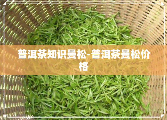 普洱茶知识曼松-普洱茶曼松价格