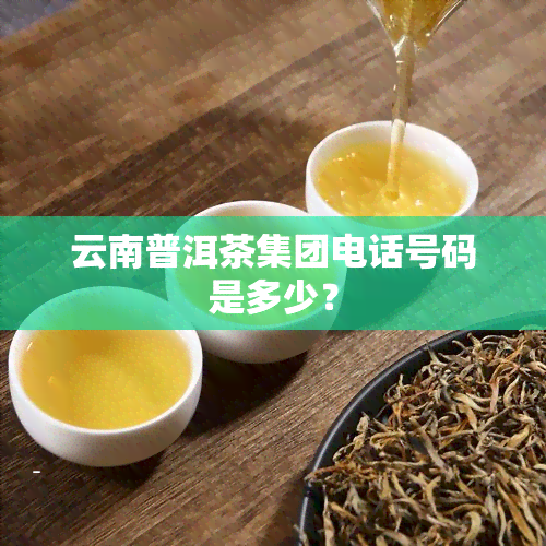 云南普洱茶集团电话号码是多少？