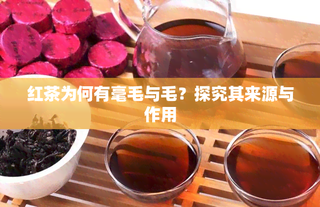 红茶为何有毫毛与毛？探究其来源与作用