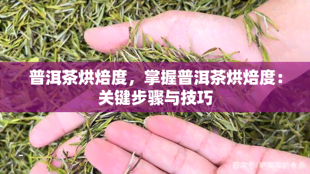 普洱茶烘焙度，掌握普洱茶烘焙度：关键步骤与技巧