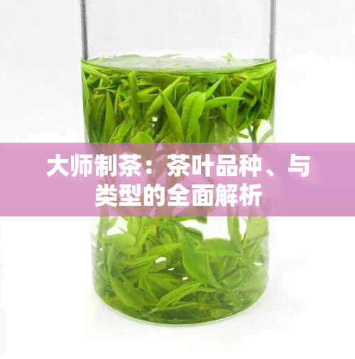 大师制茶：茶叶品种、与类型的全面解析