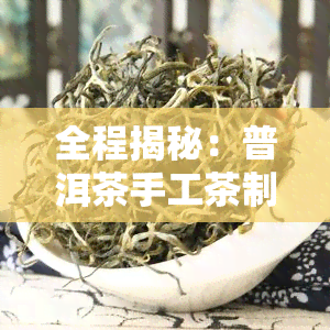 全程揭秘：普洱茶手工茶制作过程视频与图片详解