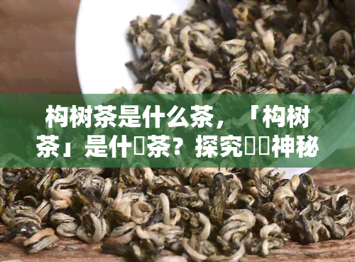 构树茶是什么茶，「构树茶」是什麼茶？探究這種神秘的草本茶葉的特徵和功效